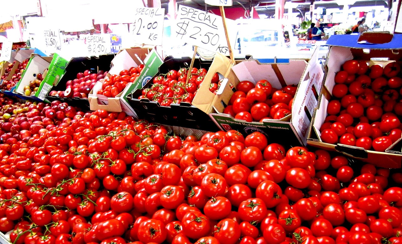 tomatoes-418203_1280